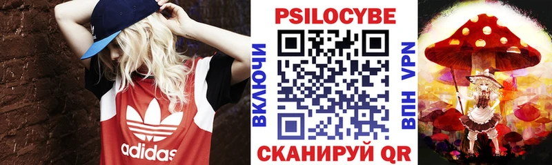 мега   Псков  Галлюциногенные грибы прущие грибы 