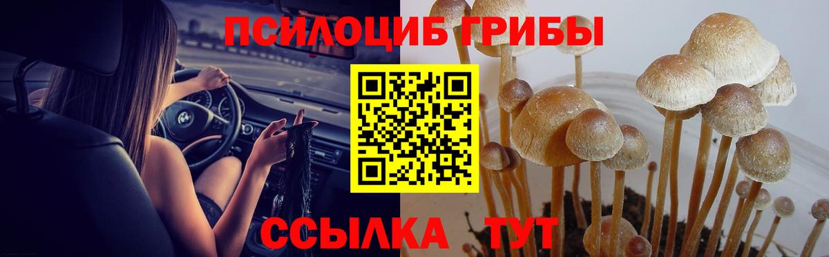 Псилоцибиновые грибы мицелий Псков